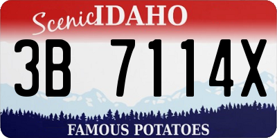 ID license plate 3B7114X