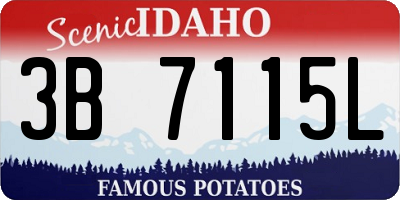 ID license plate 3B7115L