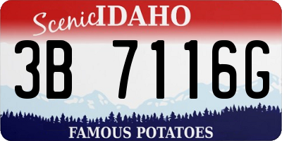 ID license plate 3B7116G