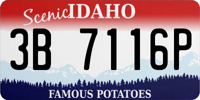 ID license plate 3B7116P
