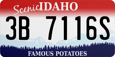 ID license plate 3B7116S