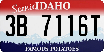ID license plate 3B7116T