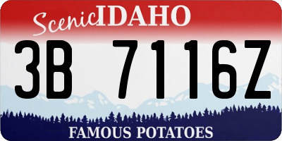 ID license plate 3B7116Z