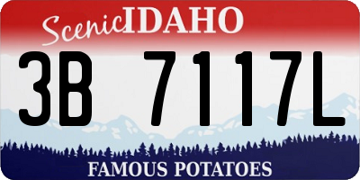ID license plate 3B7117L