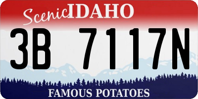 ID license plate 3B7117N