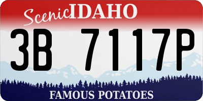ID license plate 3B7117P