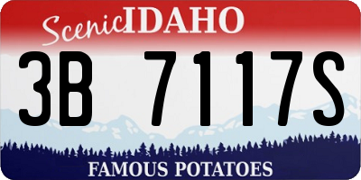 ID license plate 3B7117S