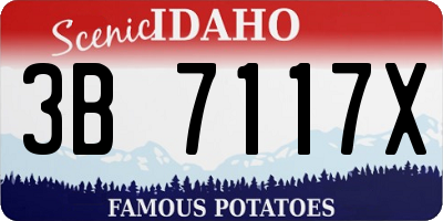 ID license plate 3B7117X