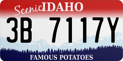 ID license plate 3B7117Y