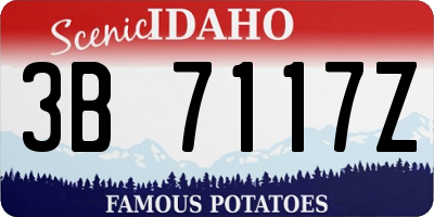 ID license plate 3B7117Z
