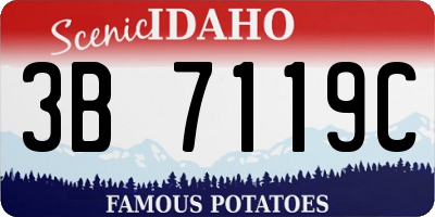 ID license plate 3B7119C