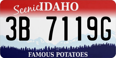 ID license plate 3B7119G