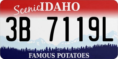 ID license plate 3B7119L