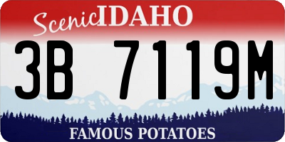 ID license plate 3B7119M