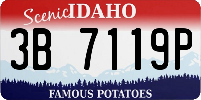 ID license plate 3B7119P