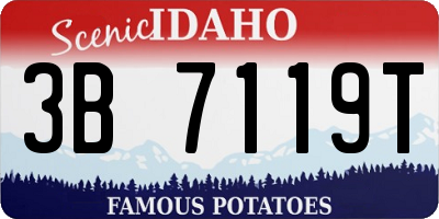 ID license plate 3B7119T