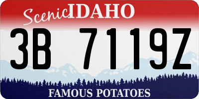 ID license plate 3B7119Z