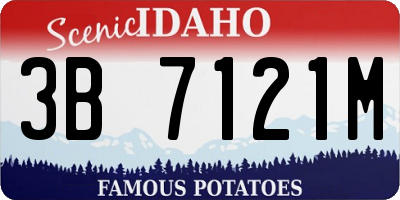 ID license plate 3B7121M