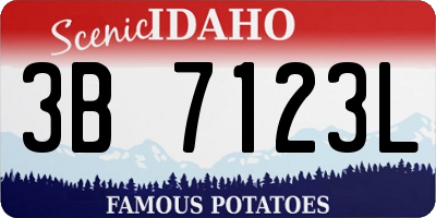 ID license plate 3B7123L