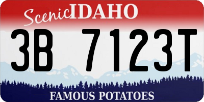 ID license plate 3B7123T