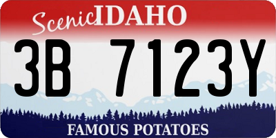 ID license plate 3B7123Y