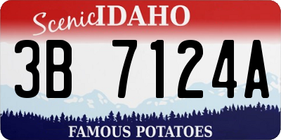 ID license plate 3B7124A