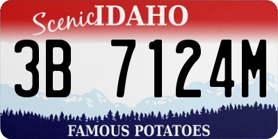 ID license plate 3B7124M