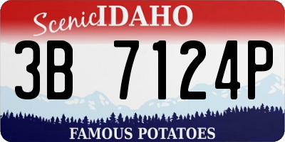 ID license plate 3B7124P