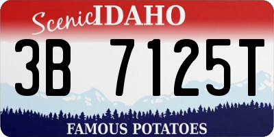 ID license plate 3B7125T