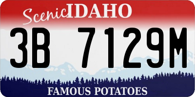 ID license plate 3B7129M