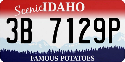 ID license plate 3B7129P