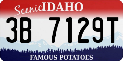 ID license plate 3B7129T