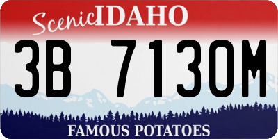 ID license plate 3B7130M
