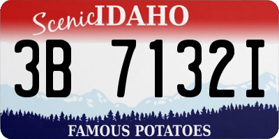ID license plate 3B7132I
