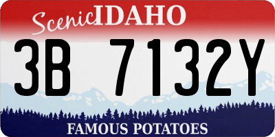 ID license plate 3B7132Y
