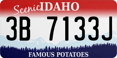 ID license plate 3B7133J