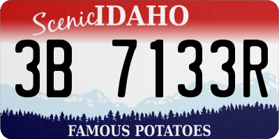 ID license plate 3B7133R