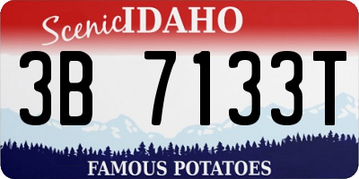 ID license plate 3B7133T