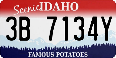 ID license plate 3B7134Y