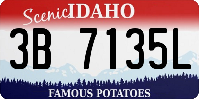 ID license plate 3B7135L