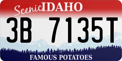 ID license plate 3B7135T