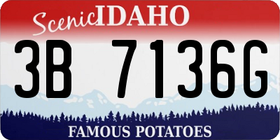 ID license plate 3B7136G