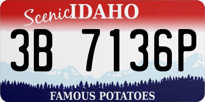 ID license plate 3B7136P