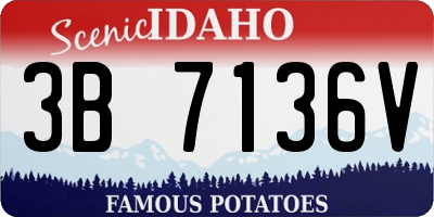 ID license plate 3B7136V
