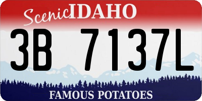 ID license plate 3B7137L