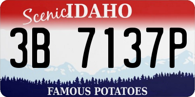 ID license plate 3B7137P