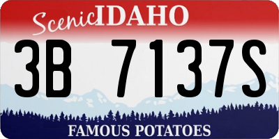 ID license plate 3B7137S