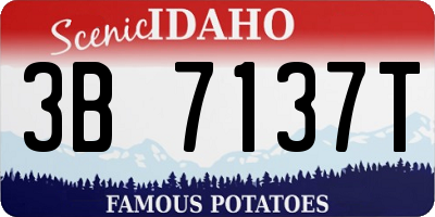 ID license plate 3B7137T