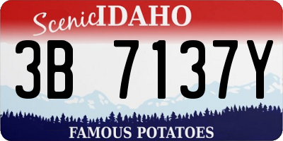 ID license plate 3B7137Y