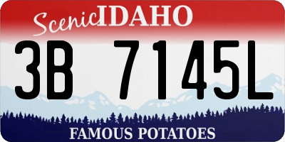 ID license plate 3B7145L